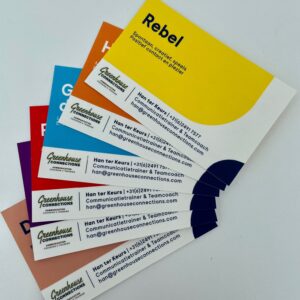 PCM-kaartjes 6 persoonlijkheidstypen- Met eigen logo (NL/EN) - Afbeelding 1