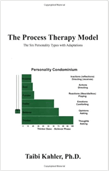 Boek Process Therapy Model - vanaf 1 exemplaar