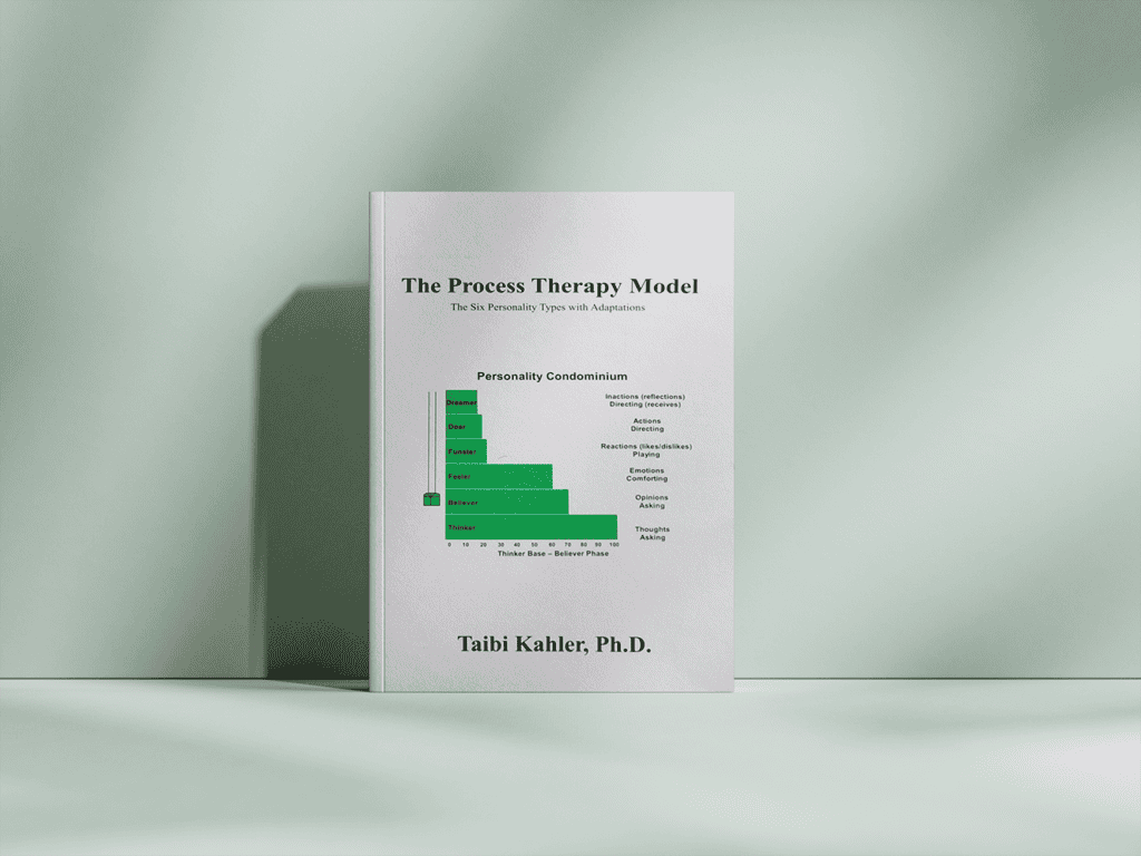 Boek Process Therapy Model - vanaf 1 exemplaar